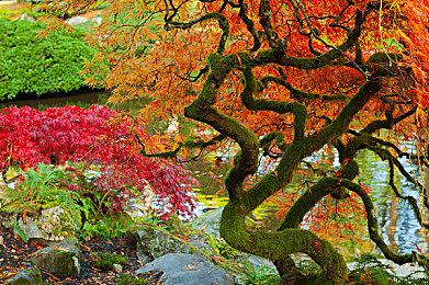 《生化危机7》7月登陆iPhone 《生化危机2：重制版》也在开发中